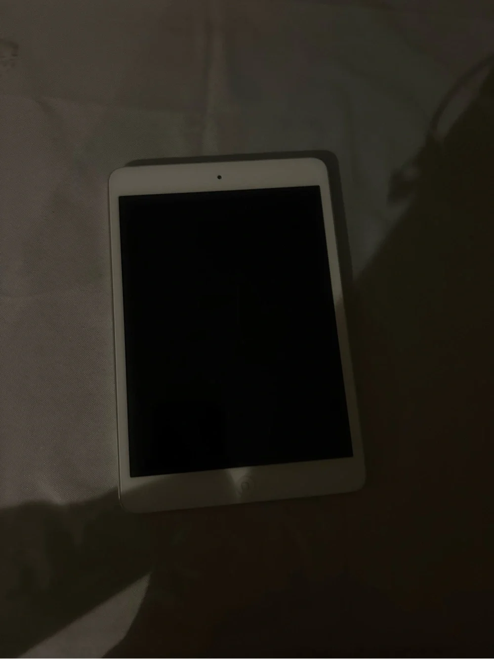 Apple iPad Mini Tablet first generation perfect condition - silver